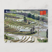 Berühmte Yuanyang Rice Terraces - Yunnan, China Postkarte (Vorderseite)
