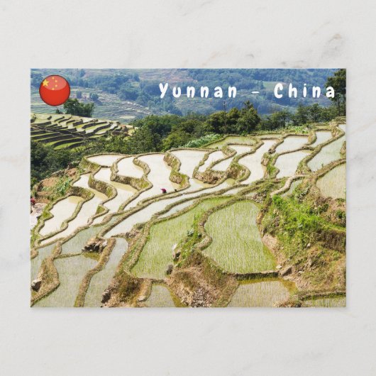 Berühmte Yuanyang Rice Terraces - Yunnan, China Postkarte (Vorderseite)