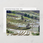 Berühmte Yuanyang Rice Terraces - Yunnan, China Postkarte (Vorne/Hinten)