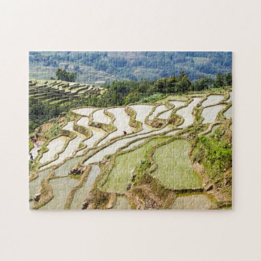 Berühmte Yuanyang Rice Terraces - Yunnan, China Puzzle (Horizontal)
