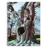 Berühmter Filmbaum Notizblock (Vorderseite)