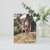 Berühmter Filmbaum Postkarte (Stehend Vorderseite)