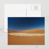 berühmtes Deadvlei mit toten Bäumen, Wüste Postkarte (Vorne/Hinten)