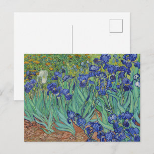 Berühmtes Ölbild Blaue Schwertlilien von Van Gogh Postkarte