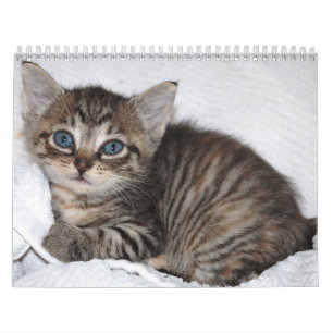 Berühmtes Wunder-Manx Kalender