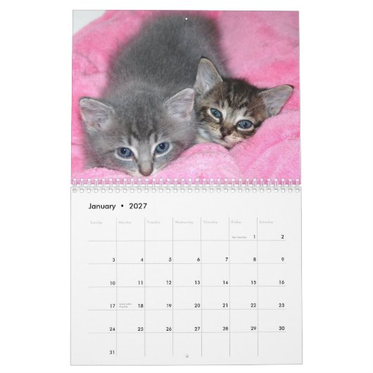 Berühmtes Wunder-Manx Kalender (Jan 2027)