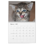 Berühmtes Wunder-Manx Kalender (Feb 2027)