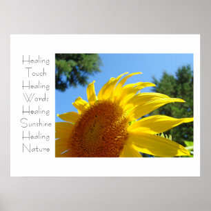 Berührende Heilkunst Kunstprints Gelbe Sonnenblume Poster