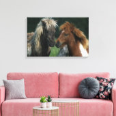 Berührung von Miniaturpferden Leinwanddruck (Insitu (Wohnzimmer))