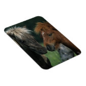 Berührung von Miniaturpferden Magnet (Rechte Seite)