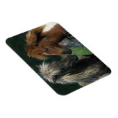 Berührung von Miniaturpferden Magnet (Rechte Seite)