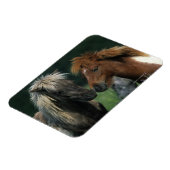 Berührung von Miniaturpferden Magnet (Linke Seite)