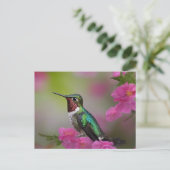 Berylline Hummingbird bei Erholung Postkarte (Stehend Vorderseite)