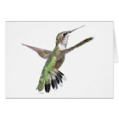 Berylline Hummingbird Painting (Vorderseite (Horizontal))