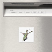 Berylline Hummingbird Painting Magnet (In Situ (Geschirrspüler))