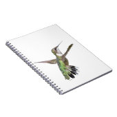 Berylline Hummingbird Painting Notizblock (Rechte Seite)