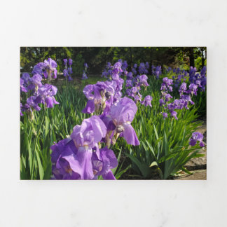 Beschädigte und akkubetriebene Karte