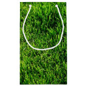 Beschaffenheit des grünen Grases von einem Kleine Geschenktüte (Rückseite)