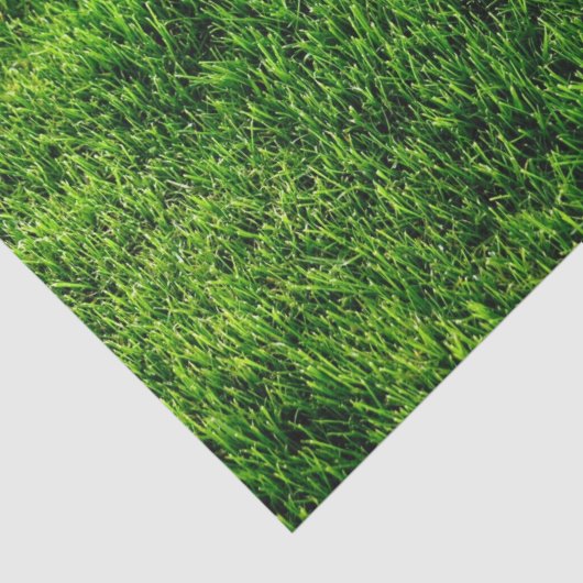 Beschaffenheit des grünen Grases von einem Seidenpapier (Ausschnitt)