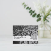 Beschaffenheits-Band V2 - Sedum "Herbst-Freude " Visitenkarte (Stehend Vorderseite)