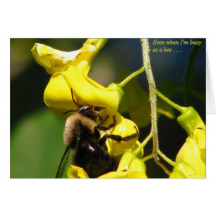 Beschäftigt als Biene