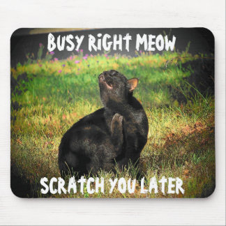 beschäftigt rechts Meow Cat Meme Mousepad