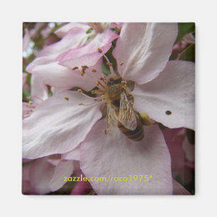 Beschäftigte Biene Magnet