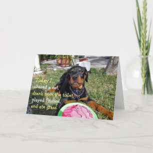 Beschäftigte Rottweiler-Welpen-Jubiläumskarte Karte