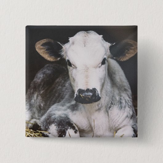 Beschäftigte Tagesernte Button (Vorderseite)