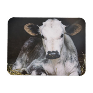 Beschäftigte Tagesernte Magnet