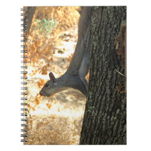 Beschäftigtes Eichhörnchen-Notizbuch Notizblock