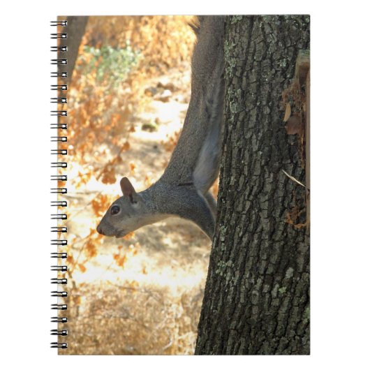 Beschäftigtes Eichhörnchen-Notizbuch Notizblock (Vorderseite)