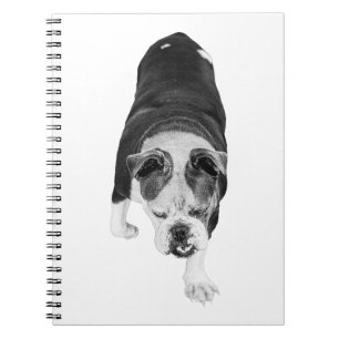 Beschatteter Schritt Hund inspiriert fokussiertes Notizblock