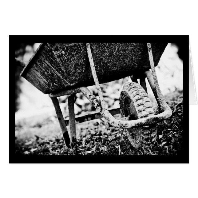 beschichteter Träger (Vorderseite (Horizontal))