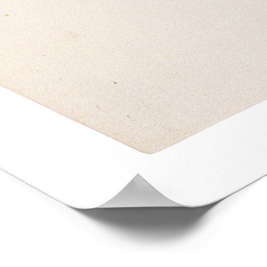 Beschluss zur Führungskraft 9981 Desegregation der Poster (Ecke)