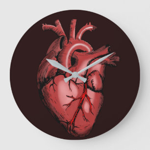 Beschreibung des chirurgischen Modells Herz Große Wanduhr
