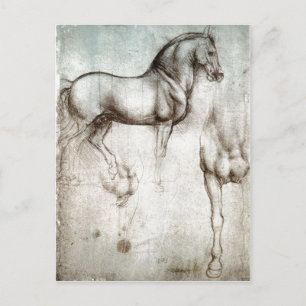 Beschreibung Studie des Originalbildes des Pferdes Postkarte