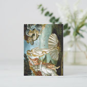 Beschreibung w:Botticelli Die Geburt der Venus Dat Postkarte (Stehend Vorderseite)
