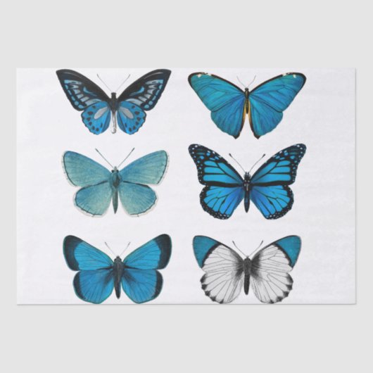 BESCHREIBUNGSPAPIER: BUTTERFLIES SEIDENPAPIER (Vorderseite)