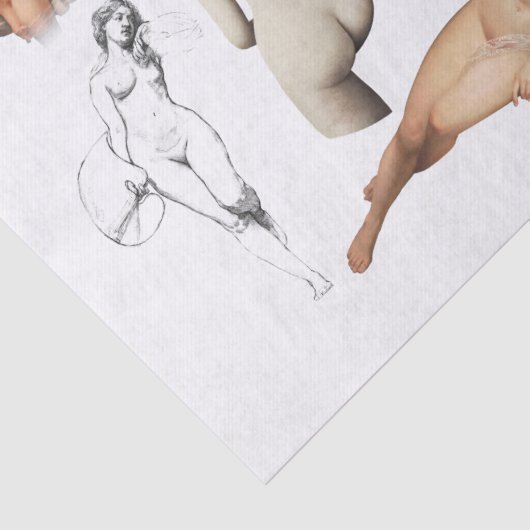 BESCHREIBUNGSPAPIER: NUDES SEIDENPAPIER (Detail)
