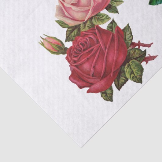 BESCHREIBUNGSPAPIER : ROSE SEIDENPAPIER (Detail)