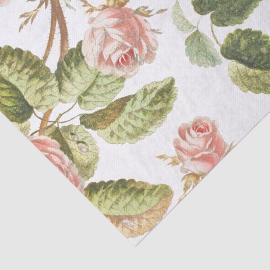 BESCHREIBUNGSPAPIER : ROSE SEIDENPAPIER (Detail)