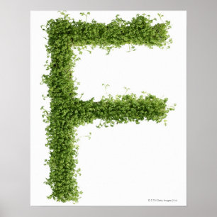Beschriften Sie "F" in der Kresse auf weißem Poster
