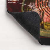 Beschriftete menschliche Zelle Mousepad (Ecke)