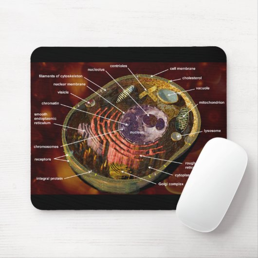 Beschriftete menschliche Zelle Mousepad (Mit Mouse)