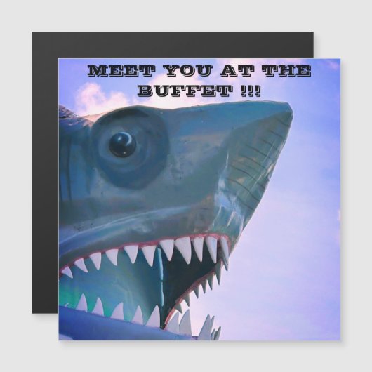 BESCHWERDEABTEILUNG SCHARKKRÜSTE TÜR MAGNET (Vorne/Hinten)