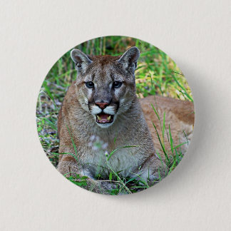 Beschwerender Berglöwe Button