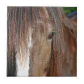 beschwören fliese (Vorderseite)