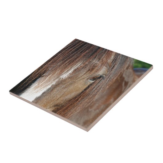 beschwören fliese (Seite)