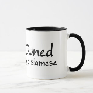 besessen durch ein siamesisches tasse